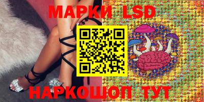 спиды Кохма