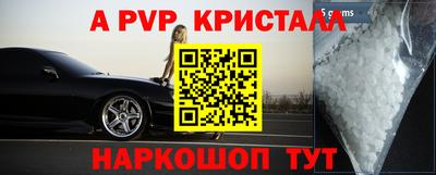 спиды Кохма